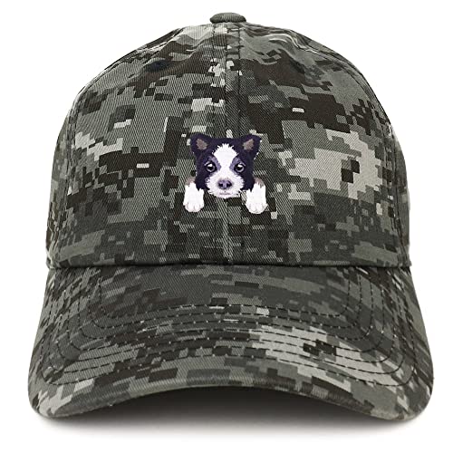 AP0001-SAN-CP77-DNC