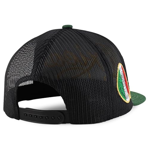 Trendy Apparel Shop Mexico Eagle Embroidered Flatbill Snapback Cap