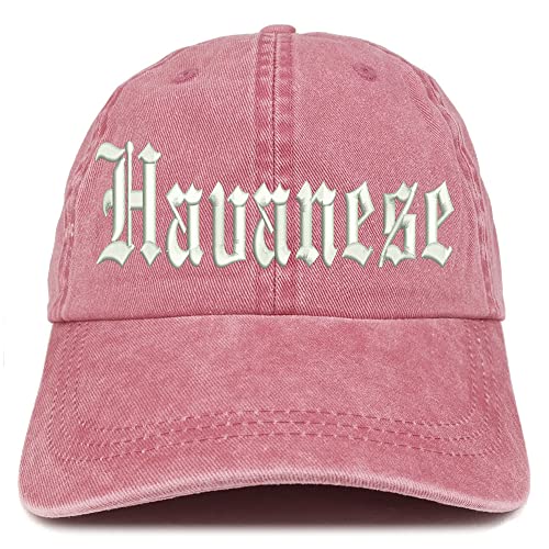 Trendy Apparel Shop Old English Havanese Washed Pigment Dyed Baseball Cap