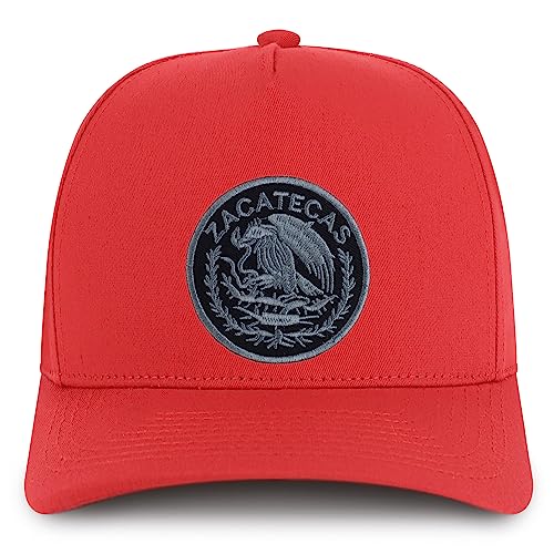 MXPATCH-ZAC-NIS-GNV-007-RED-C