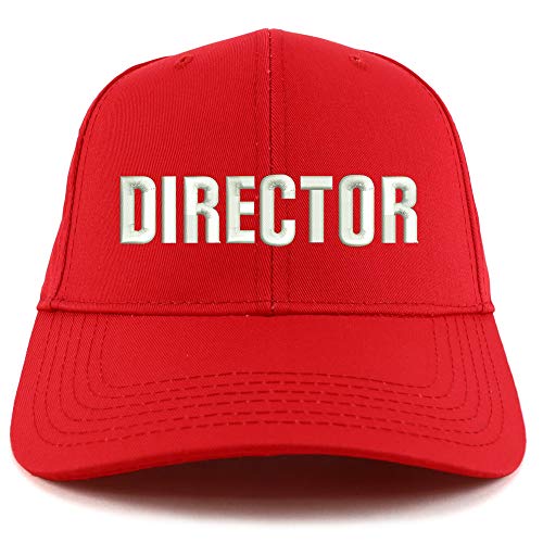 Trendy Apparel Shop Director Embroidered Sturctured Baseball Cap