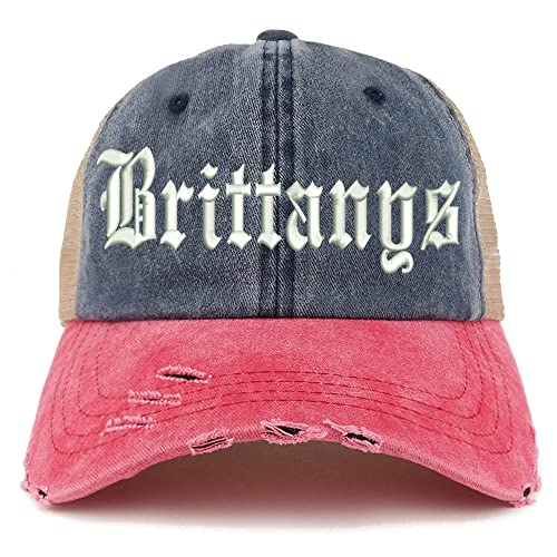 Trendy Apparel Shop Old English Brittanys Frayed Bill Trucker Mesh Back Cap