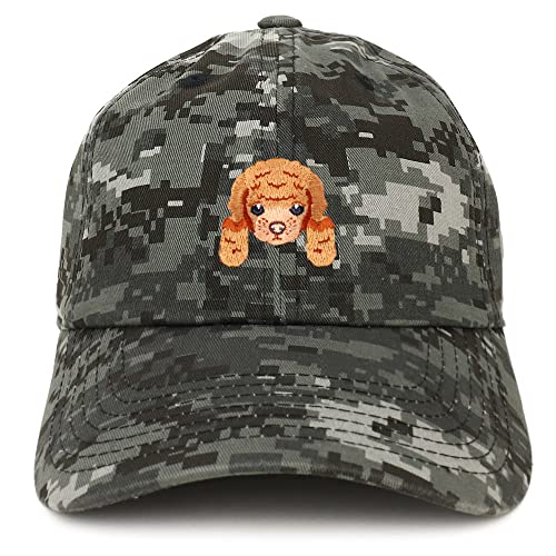 AP0002-SAN-CP77-DNC