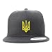 Trendy Apparel Shop Ukrainian National Symbol Embroidered Flatbill Snapback Cap