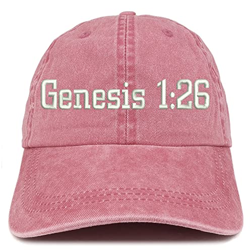 Trendy Apparel Shop Genesis 1:26 Washed Pigment Dyed Baseball Cap