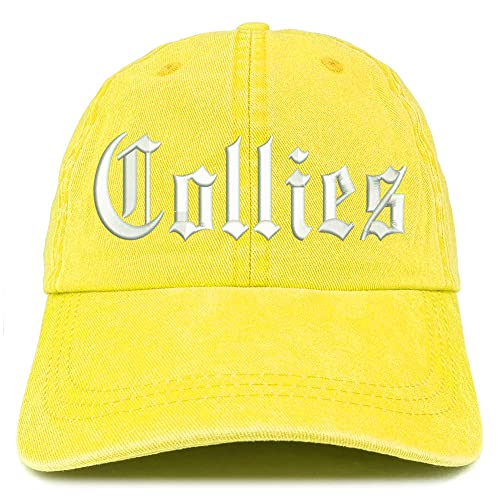 Trendy Apparel Shop Old English Collies Washed Pigment Dyed Baseball Cap