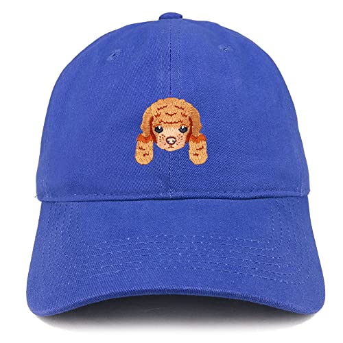 AP0002-SAN-CP77-RYL