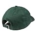 Trendy Apparel Shop North Carolina USA Flag Low Profile Soft Cotton Baseball Cap