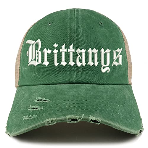 Trendy Apparel Shop Old English Brittanys Frayed Bill Trucker Mesh Back Cap