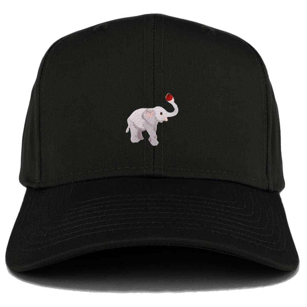 AP0040-27-079-BLK