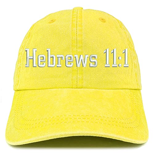 Trendy Apparel Shop Hebrews 11:1 Washed Pigment Dyed Baseball Cap