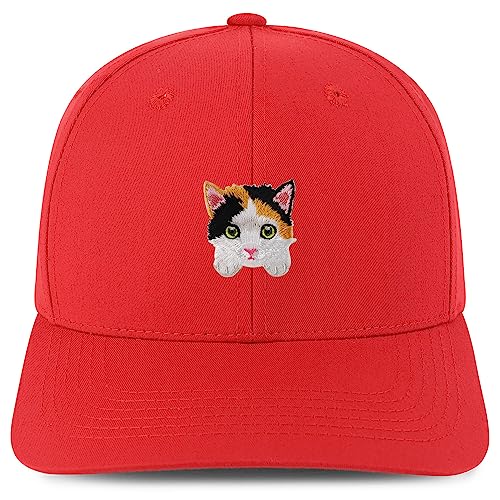 AP0147-NIS-GNV-004-RED
