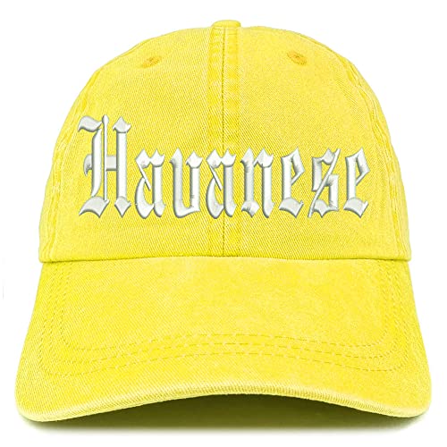 Trendy Apparel Shop Old English Havanese Washed Pigment Dyed Baseball Cap