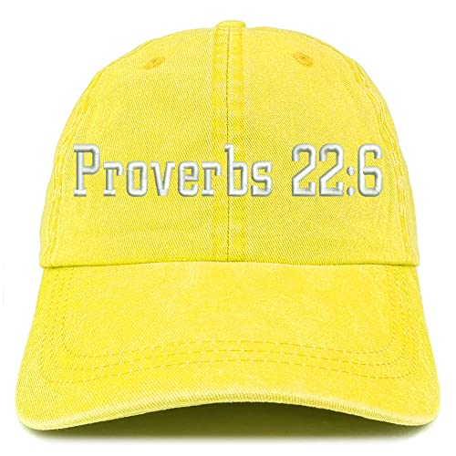 Trendy Apparel Shop Proverbs 22: 6 Washed Pigment Dyed Baseball Cap