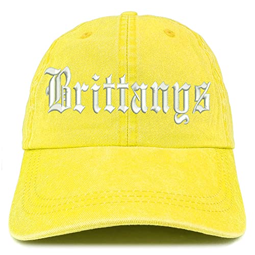 Trendy Apparel Shop Old English Brittanys Washed Pigment Dyed Baseball Cap
