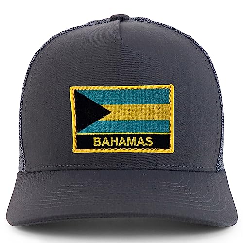 FPR020-NIS-GNV-008M-CHA