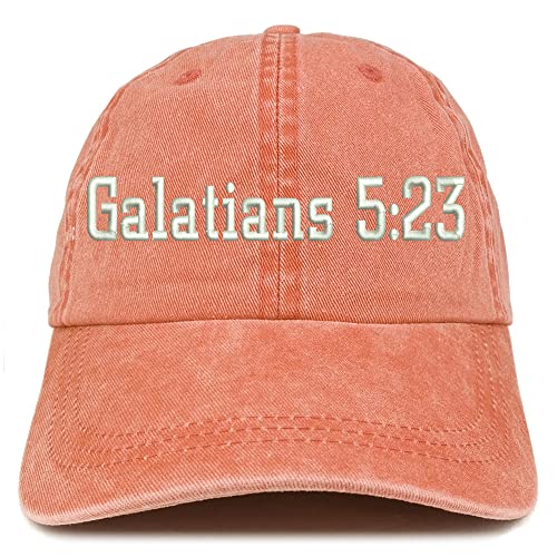 Trendy Apparel Shop Galatians 5:23 Washed Pigment Dyed Baseball Cap