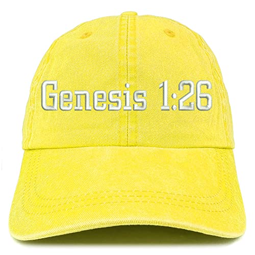 Trendy Apparel Shop Genesis 1:26 Washed Pigment Dyed Baseball Cap