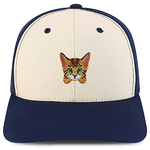 AP0146-NIS-GNV-004-STN-NVY