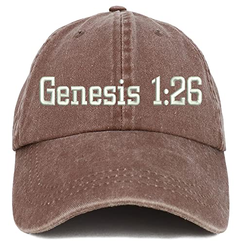 Trendy Apparel Shop Genesis 1:26 Washed Pigment Dyed Baseball Cap