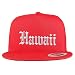 Trendy Apparel Shop Hawaii State Old English 5 Panel Flatbill Trucker Mesh Cap