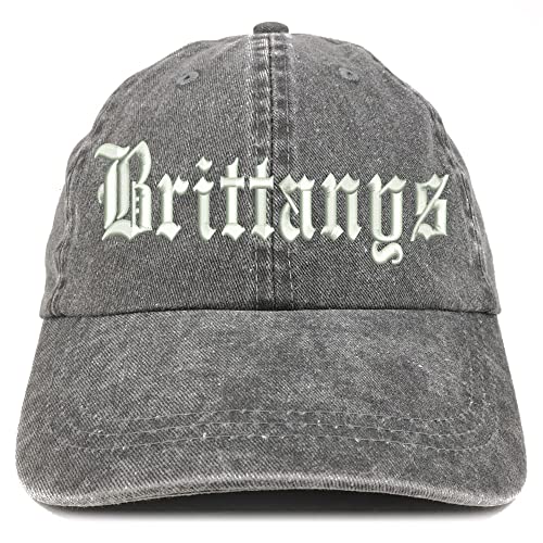 Trendy Apparel Shop Old English Brittanys Washed Pigment Dyed Baseball Cap