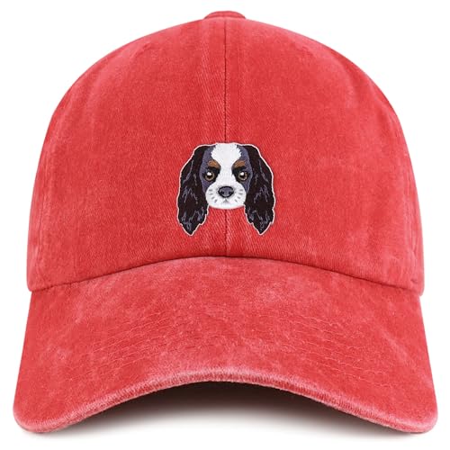 AP0254-MGC-7601-RED