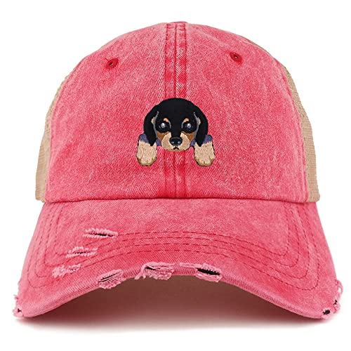 AP0010-NIS-GN-1012-RED