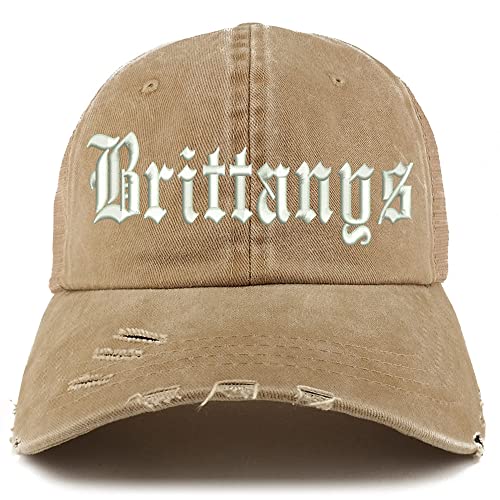 Trendy Apparel Shop Old English Brittanys Frayed Bill Trucker Mesh Back Cap