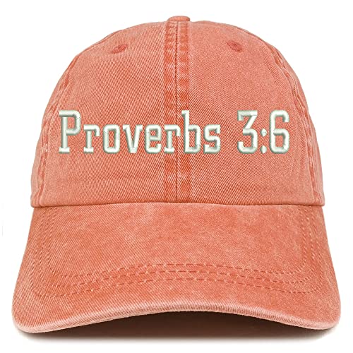 Trendy Apparel Shop Proverbs 3:6 Washed Pigment Dyed Baseball Cap
