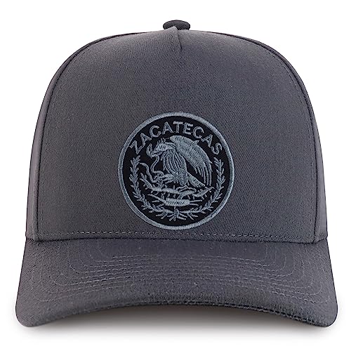 MXPATCH-ZAC-NIS-GNV-007-CHA-C