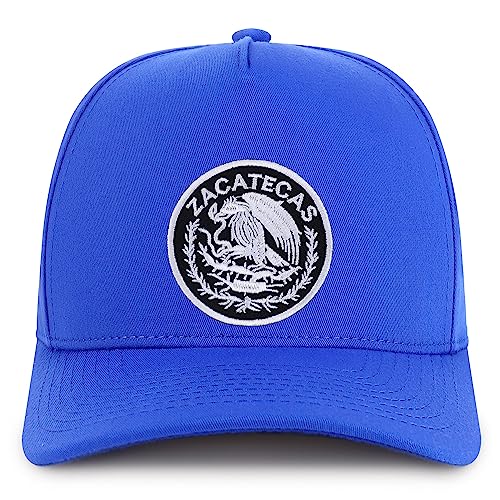 MXPATCH-ZAC-NIS-GNV-007-RYL-W