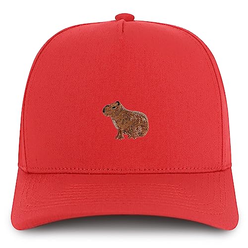 AP0161-NIS-GNV-007-RED