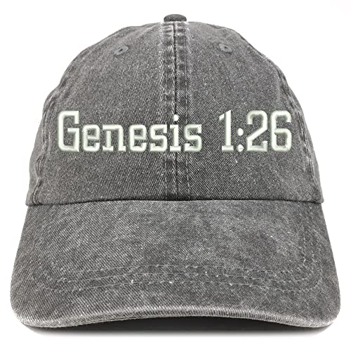 Trendy Apparel Shop Genesis 1:26 Washed Pigment Dyed Baseball Cap