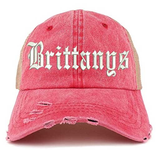 Trendy Apparel Shop Old English Brittanys Frayed Bill Trucker Mesh Back Cap