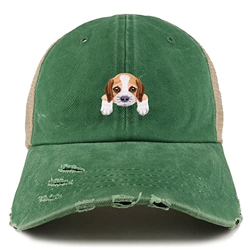 AP0019-NIS-GN-1012-KEL