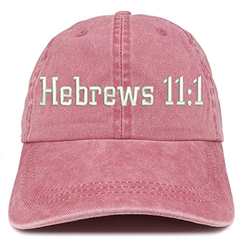 Trendy Apparel Shop Hebrews 11:1 Washed Pigment Dyed Baseball Cap