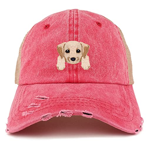 AP0011-NIS-GN-1012-RED