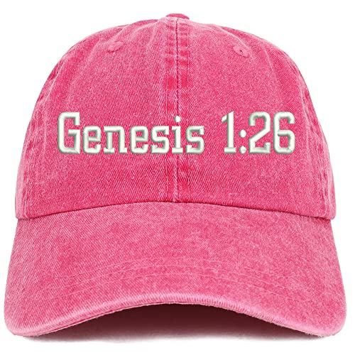 Trendy Apparel Shop Genesis 1:26 Washed Pigment Dyed Baseball Cap