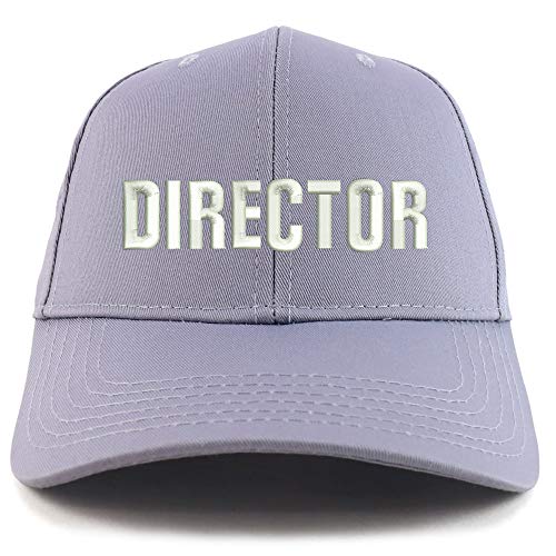 Trendy Apparel Shop Director Embroidered Sturctured Baseball Cap
