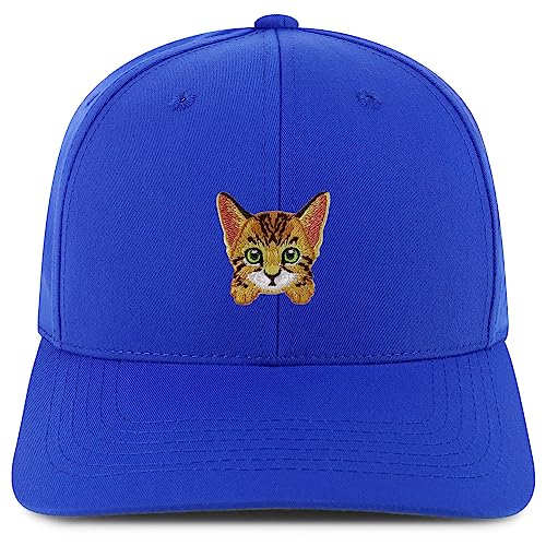 AP0146-NIS-GNV-004-RYL