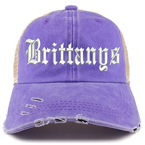 Trendy Apparel Shop Old English Brittanys Frayed Bill Trucker Mesh Back Cap