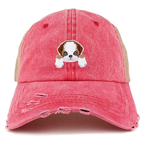 AP0004-NIS-GN-1012-RED