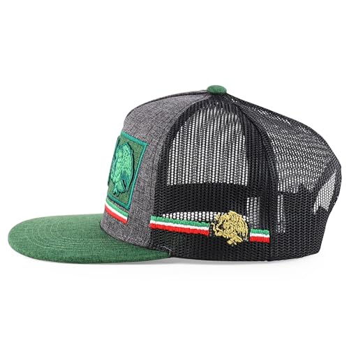 Trendy Apparel Shop MEX 3D Embroidered Flatbill Snapback Cap