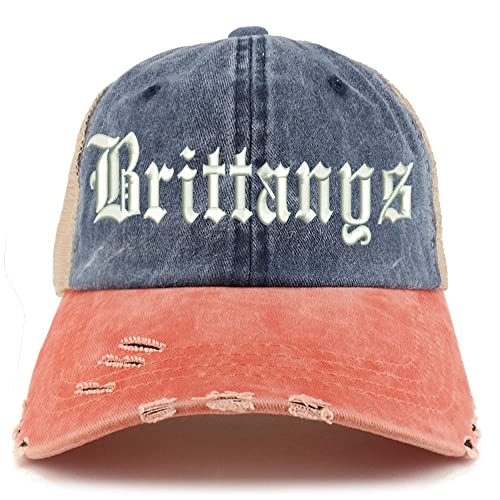 Trendy Apparel Shop Old English Brittanys Frayed Bill Trucker Mesh Back Cap