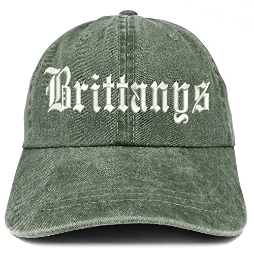 Trendy Apparel Shop Old English Brittanys Washed Pigment Dyed Baseball Cap
