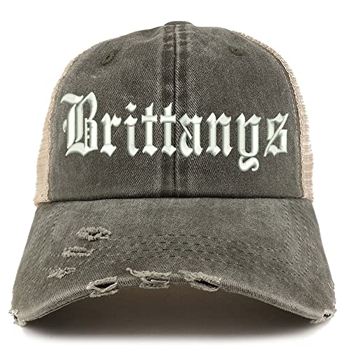 Trendy Apparel Shop Old English Brittanys Frayed Bill Trucker Mesh Back Cap