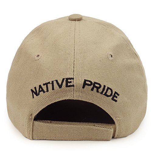 Trendy Apparel Shop Dream Catcher 3D Embroidered Native Pride Structured Baseball Cap