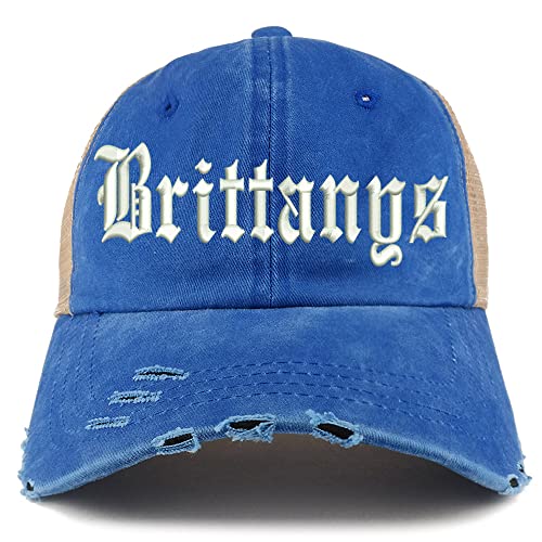 Trendy Apparel Shop Old English Brittanys Frayed Bill Trucker Mesh Back Cap