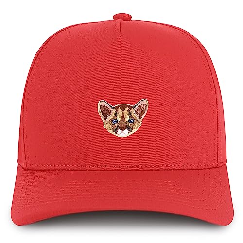 AP0159-NIS-GNV-007-RED